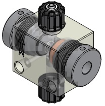 ECL-20-21.jpg