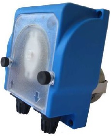 MP2-P.jpg