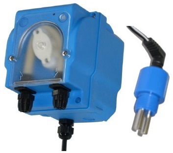 MP2-C__.jpg